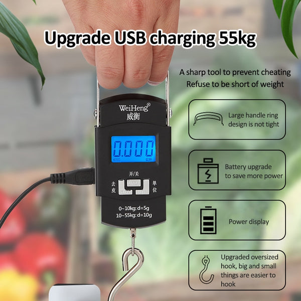 55KG 10g USB Charging Electronic Digital Scale Hanging Hook Fishing Travel Double Precision Luggage Weight Scale Balance Scales