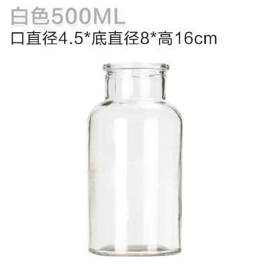 Glass Vase Home Small Hydroponic Plant Glass Bottle Living Room Decoration Dried Flower Decoration Transparent Flower Vase