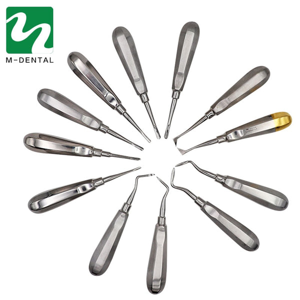 12Pcs Stainless Steel Dental Luxating Lift Elevator Teeth Clareador Curved Root Hexagon Handle Dentist Surgical Instrument Tool