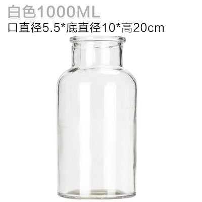 Glass Vase Home Small Hydroponic Plant Glass Bottle Living Room Decoration Dried Flower Decoration Transparent Flower Vase