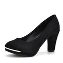 Autumn High Heels Women Pumps Platform Suede Shoes Women Ankle Strap Thick Heeled Ladies Shoes Comfortable Working Shoes WSH3166