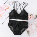 Beauty Back Sexy Women's Underwear Set Transparent Lace Push-up Bra and Panty Sets Female Brassiere Embroidery Lingerie Set