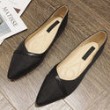 Newest Style 2021 Women's Ballet Flats Shoes Spring Autumn Pointed Toe Shallow Women Shoes Office Ladies Soft Work Single Shoes